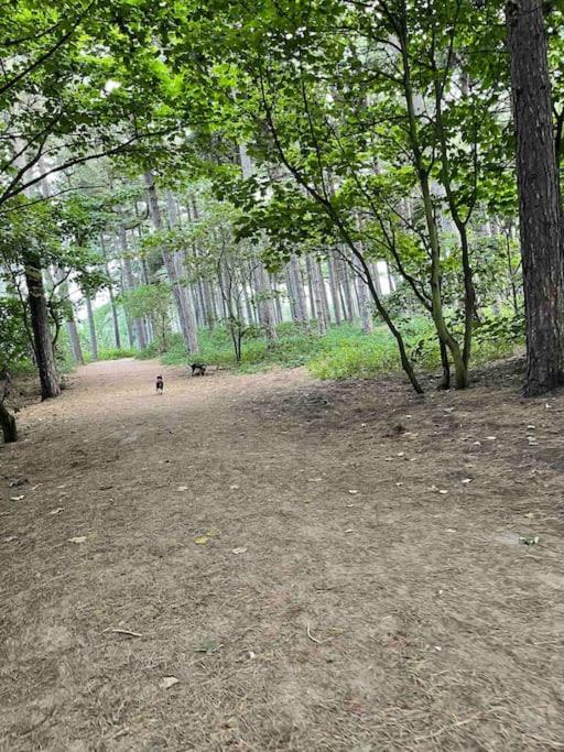 Formby, Spacious True Bungalow Steps From Beach エクステリア 写真